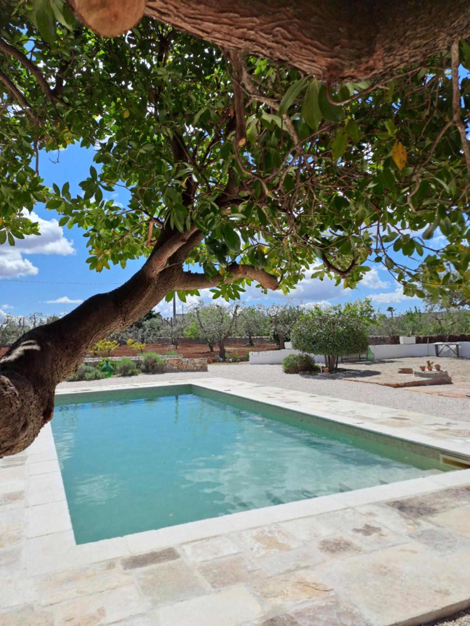 Pietra Pesara Bed & Breakfast Locorotondo Luaran gambar